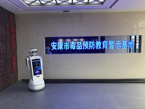 k8凯发智能 科普机器人
